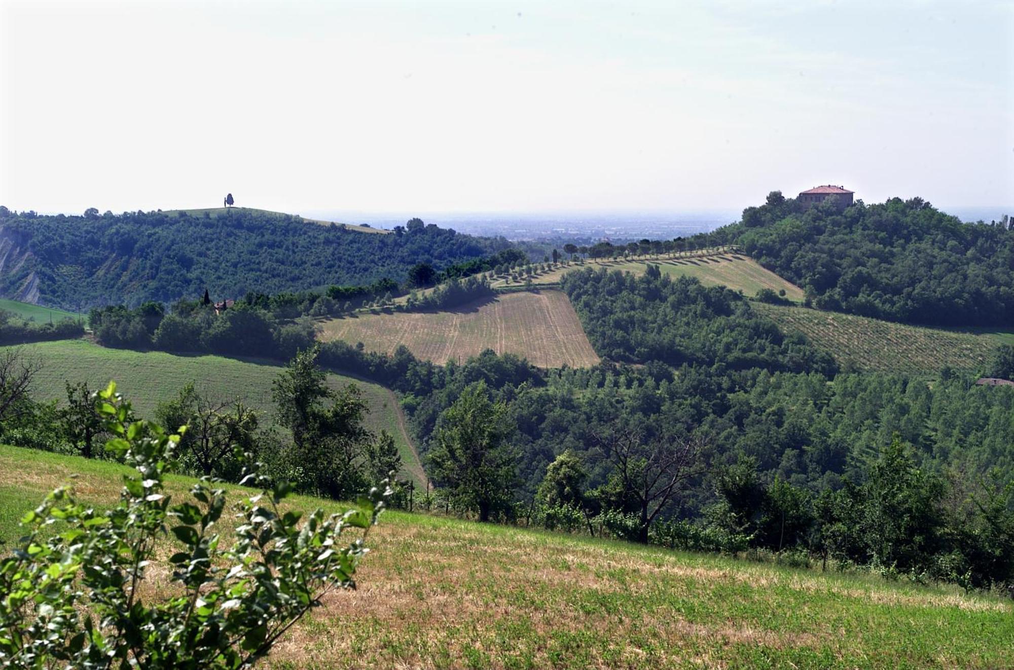 Agriturismo Montevecchio Isolani Villa Monte San Pietro Exterior photo